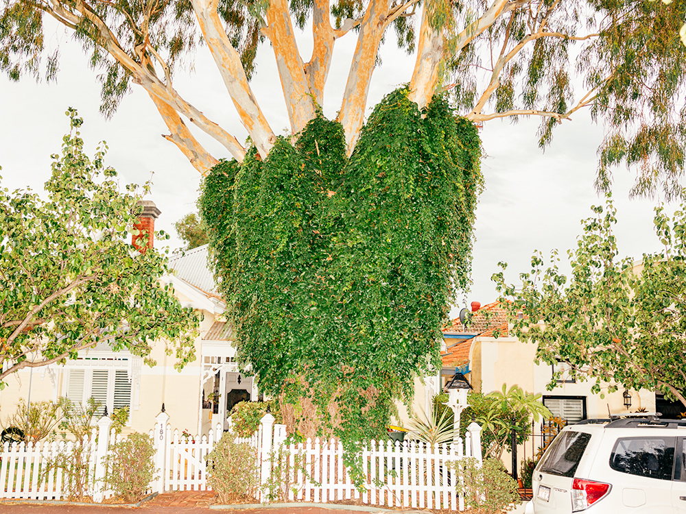 180 Park Streetresized