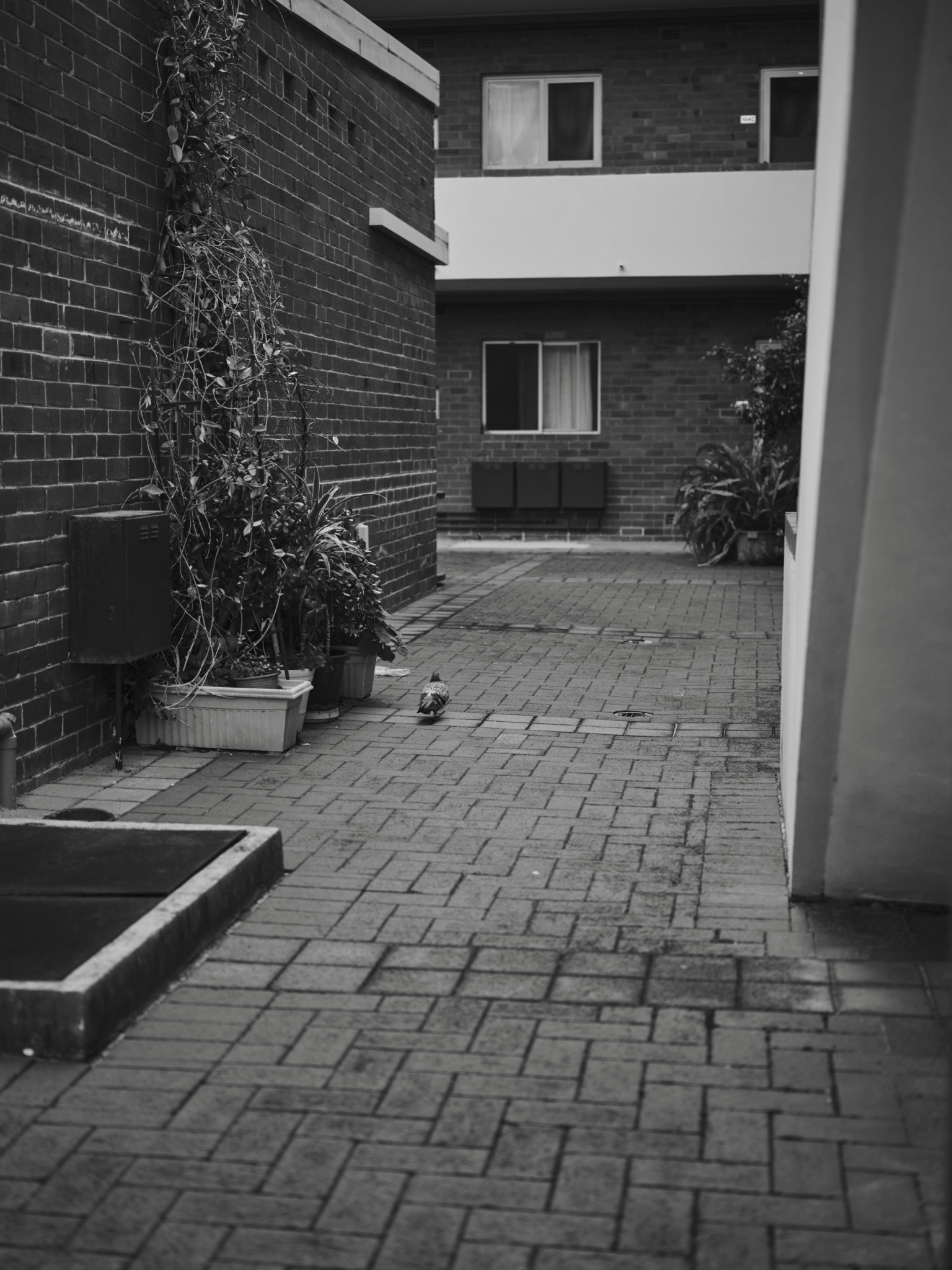 Wandana Final Selection Low Res 11