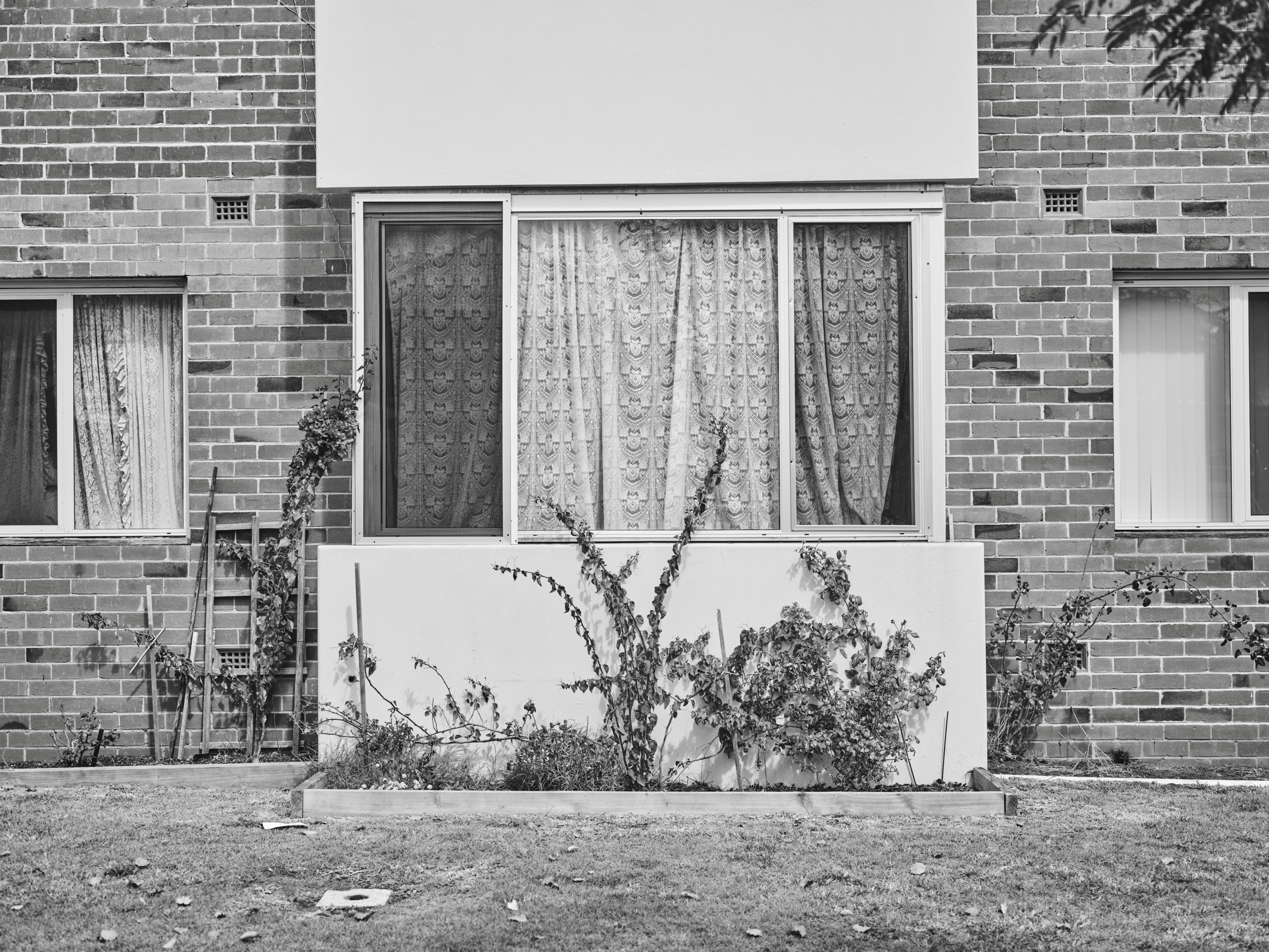 Wandana Final Selection Low Res 21