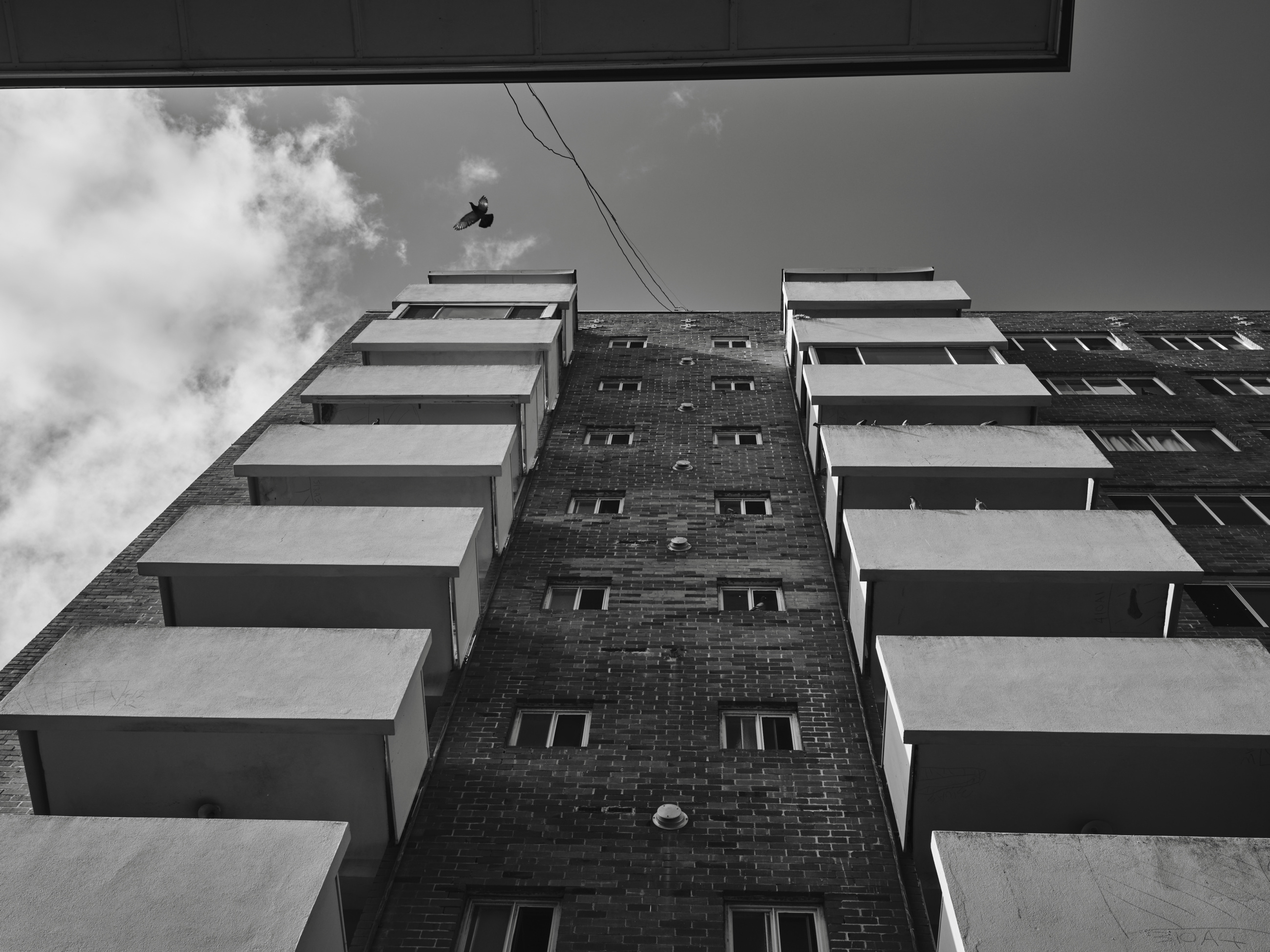 Wandana Final Selection Low Res 31