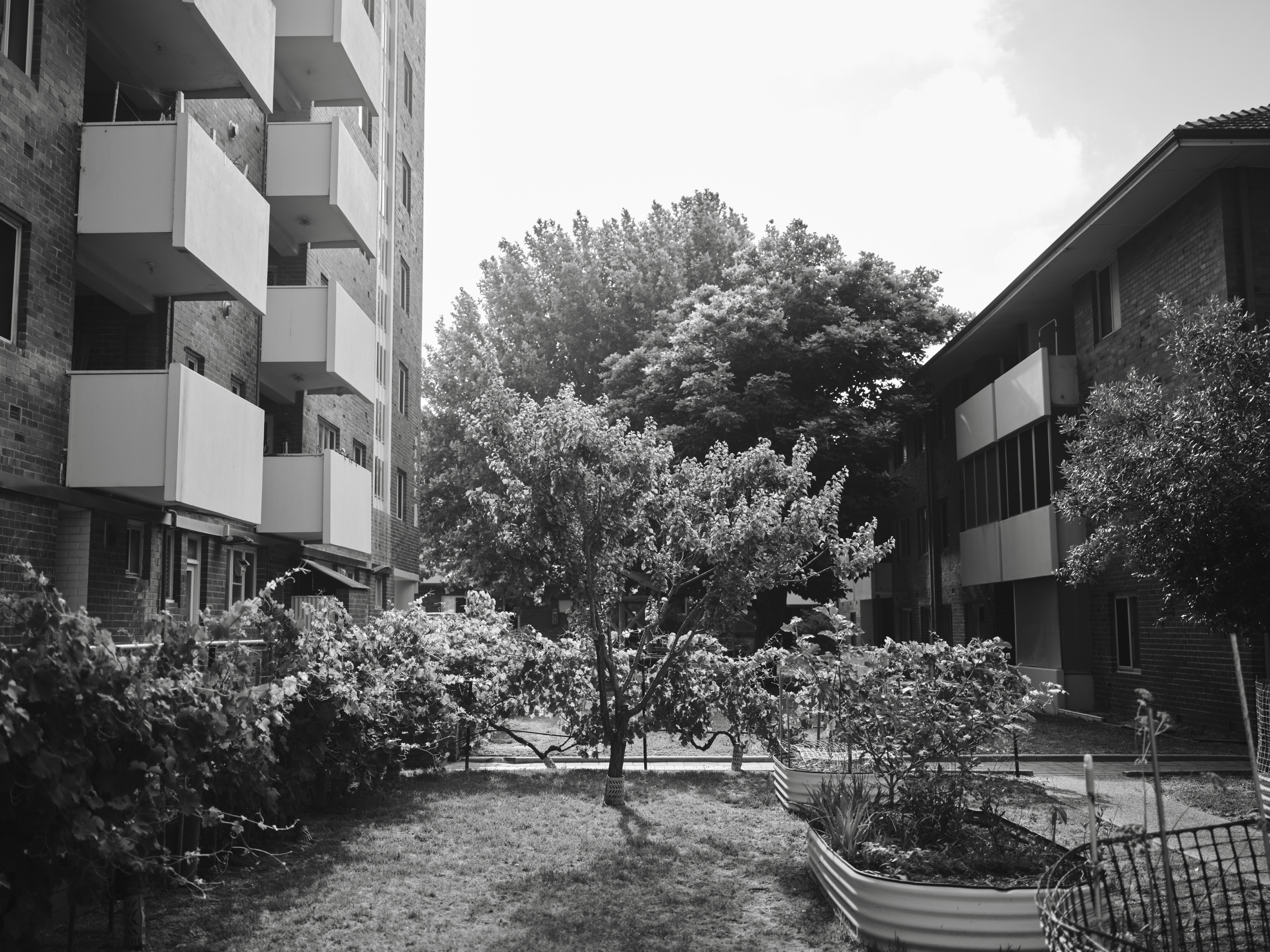 Wandana Final Selection Low Res 32