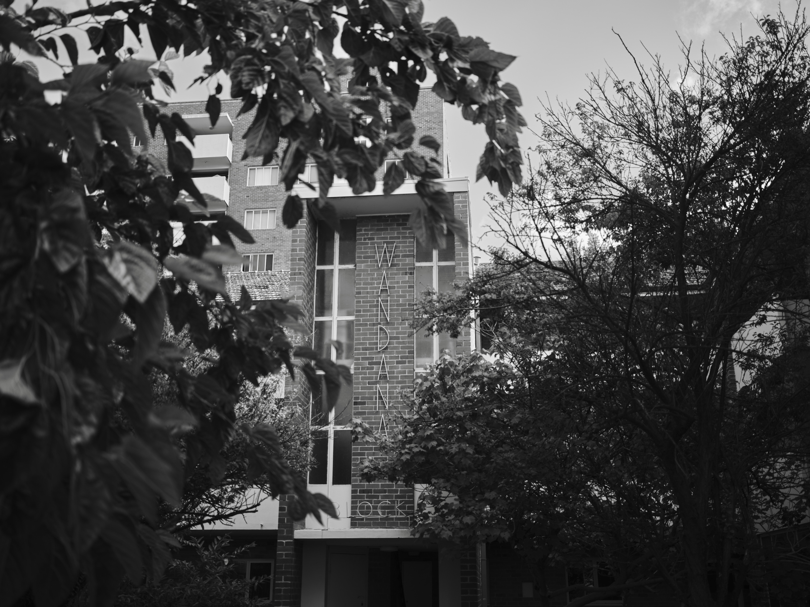 Wandana Final Selection Low Res 33