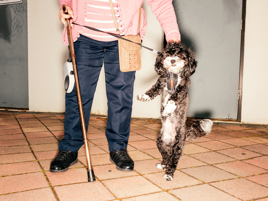 Billy Reeves: Gratiae and Willow, Wexford Street, 2022