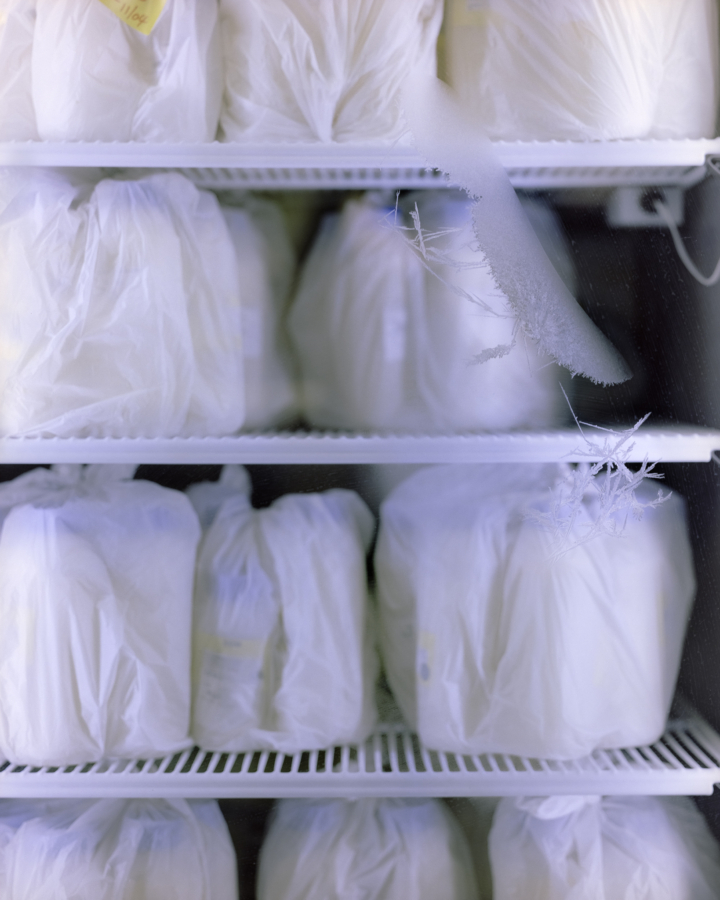 Claudia Caporn: Frozen milk, 2023