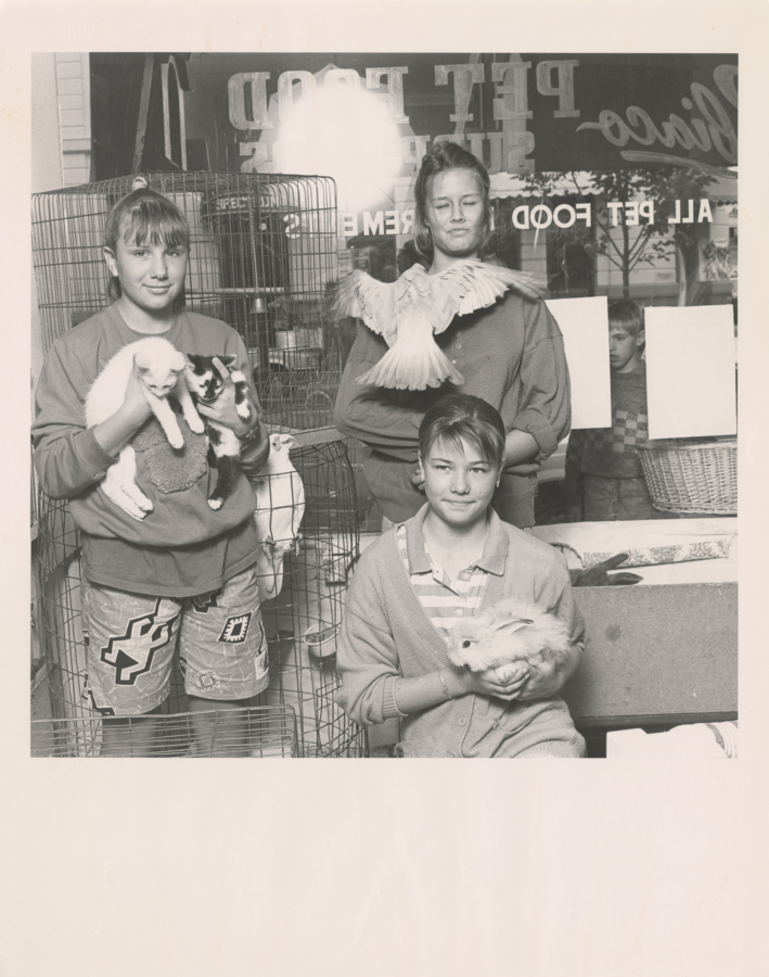 Artist Unknown (Student Photographer): Subiaco Pet Shop, 1988