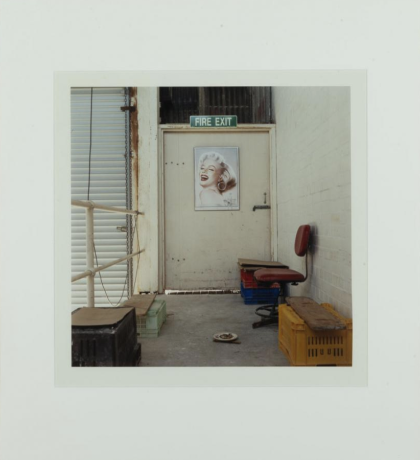 Sonya Sears: Marilyn, Bristile China, 1997